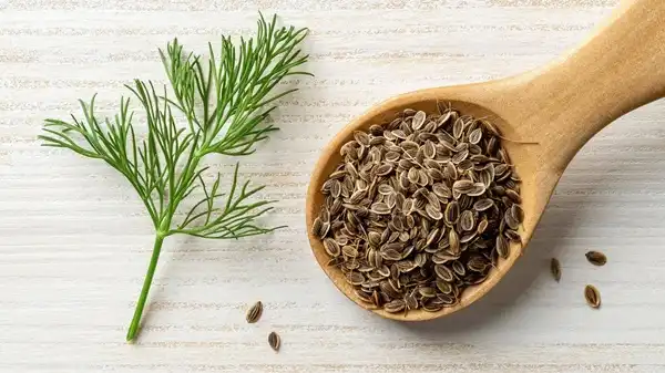 How Dill Seed Extract Supports Detox and Cleansing